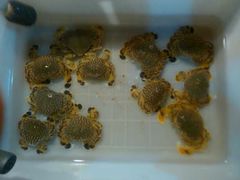 iphone_upload_pic-覃记海鲜美食餐厅