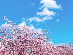 -世纪家家福生活超市(和义西里小区店)