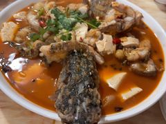-煲来饱去冷水鱼