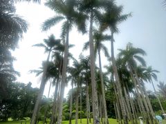-中国科学院西双版纳热带植物园