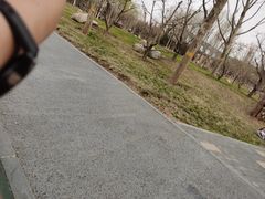 -回龙观体育文化公园