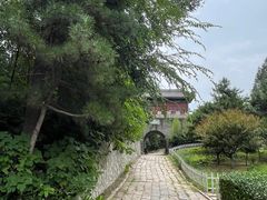 -云岗森林公园