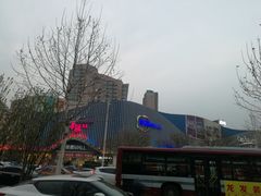 -凯德MALL(望京店)