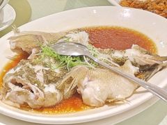 笋壳鱼-金时代顺风大酒店(协泰店)