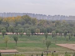 -汉长安城未央宫国家考古遗址公园