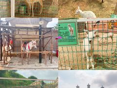 -清风小镇闯关东影视基地