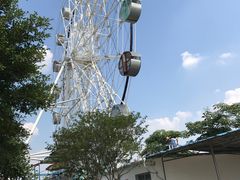 -广东花都香草世界旅游度假区
