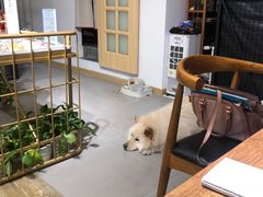 -肆兮眼镜·蔡司·徕卡战略合作店(大坪店)