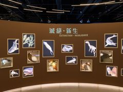 -香港科学馆