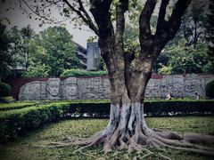 -十九路军淞沪抗日阵亡将士陵园