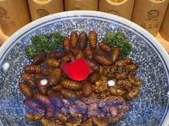 -鸽子窝(宋庄店)