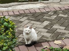 -关林