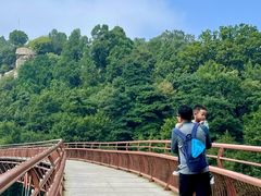 -少华山国家森林公园