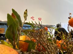 -小豆海棠(嘉兴路店)