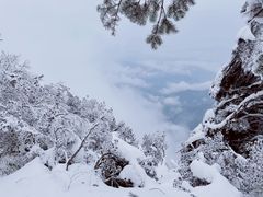 -瓦屋山景区