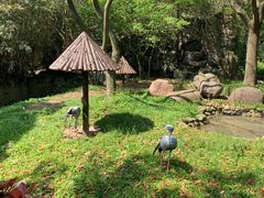 -上海野生动物园