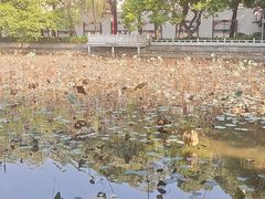 -烈士陵园(地铁站)