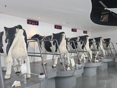 -蒙牛工业旅游景区