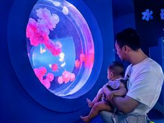 -太平洋海底世界