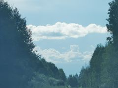 -莫尔道嘎国家森林公园