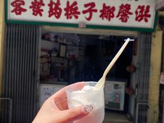 -洪馨椰子