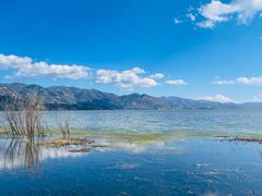 -洱海月湿地公园