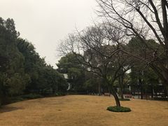 -汇龙潭