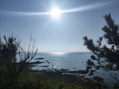 -养马岛旅游度假区