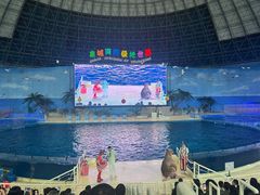 -泉城欧乐堡海洋极地世界