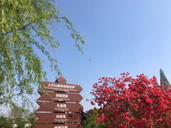 -苏州上方山国家森林公园