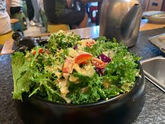 羽衣甘蓝沙拉-犟牛家·榴莲烤肉(五棵松店)