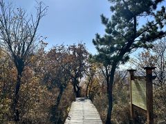 -帽儿山国家森林公园