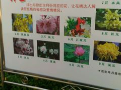 -宝鸡植物园
