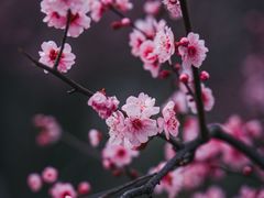 -堤角公园