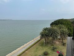 -大湾区中央湿地公园