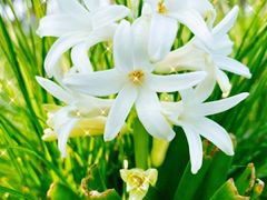 -昆山城市生态森林公园