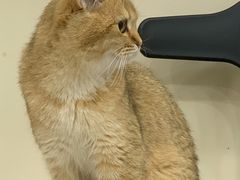 -猫力发电所·宠物专门店