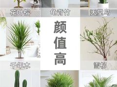 -京东家装(昆明总店)