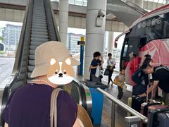 -南湖镇长途巴士站(TBS)