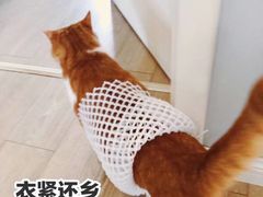 -厚道寿喜烧専門店(宝龙环湖店)