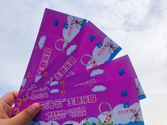 -荷兰花海