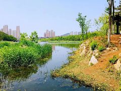 -前关湿地公园