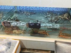 -欧记·龙城港(欣都店)