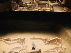 -洛阳周王城天子驾六博物馆