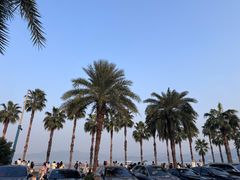 -东钱湖旅游度假区