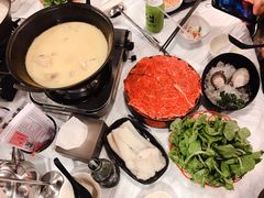 -鲜入围煮花胶鸡海鲜火锅