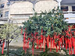 -古德寺