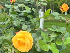 -狼山风景名胜区