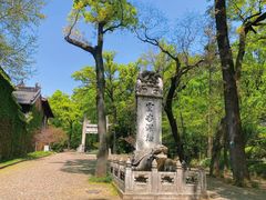 -灵谷景区