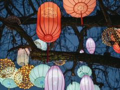 -西溪国家湿地公园